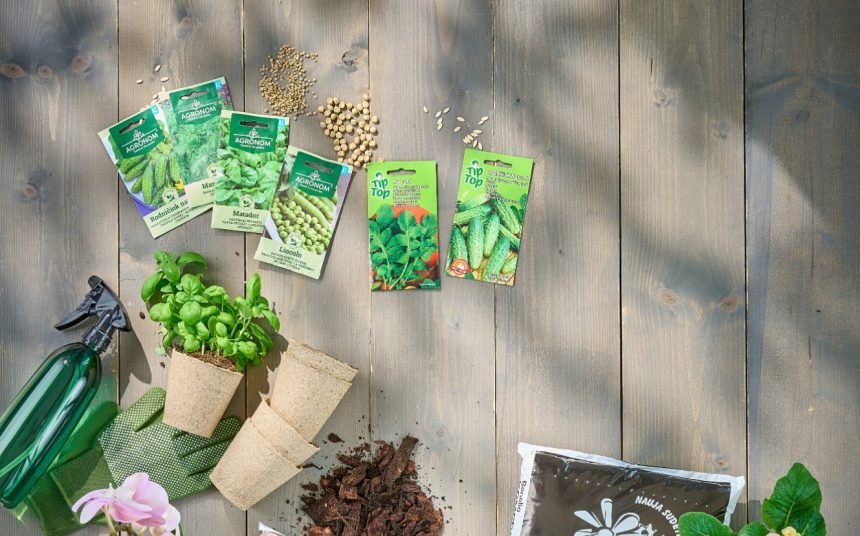 Prasidėjo pavasarinis sėklų pirkimas: pagrindinės sodinimo klaidos, kurias svarbu prisiminti