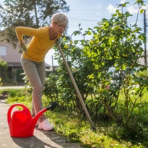 1 Pavojai sode: kaip gelbėtis nuo peršalimų bei alergijų ir apie protokolą padedantį malšinti raumenų skausmą