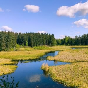 1 Nelaimė šlapynėje prakalbino ūkininkus: nuo rizikų valdymo iki žemės įsigijimo sunkumų