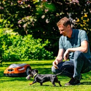 Metas sėti veją: kokias sėklas rinktis?