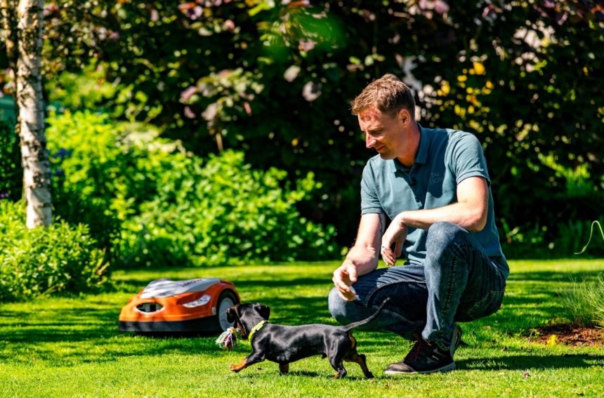 Metas sėti veją: kokias sėklas rinktis?