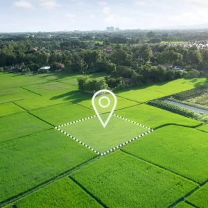 4 Seimas nusprendė: valstybinė žemė bus naudojama efektyviau