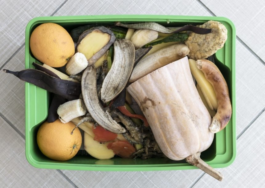 Į šiukšliadėžę ar ant stalo? Išmaniosios virtuvės technologijos padeda pasirinkti teisingai