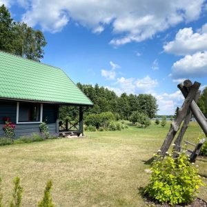 Veja, kaimiška pievelė ar žydinti pieva: ką pasirinkti savo sodybai?