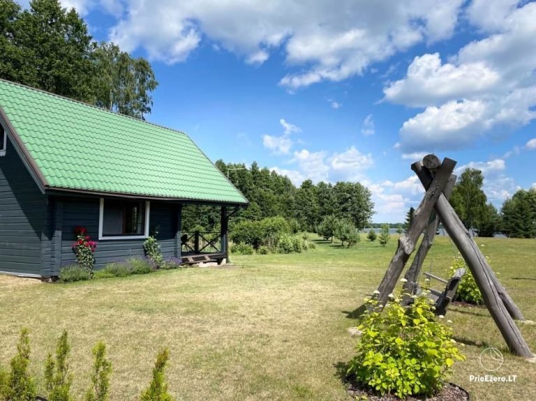 Veja, kaimiška pievelė ar žydinti pieva: ką pasirinkti savo sodybai?