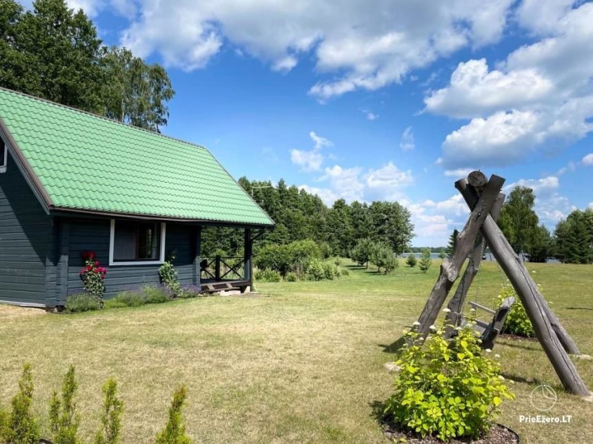 Veja, kaimiška pievelė ar žydinti pieva: ką pasirinkti savo sodybai?