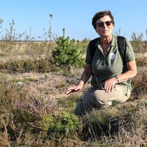 1 5 mitai apie poligonus: ką sako gamtos mokslas