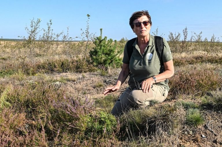 5 mitai apie poligonus: ką sako gamtos mokslas